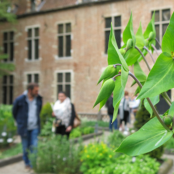 Visite aux jardins