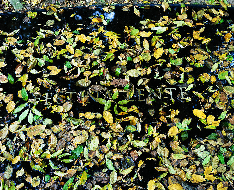 Festina_Jasinski©MaisondErasme&Beguinage