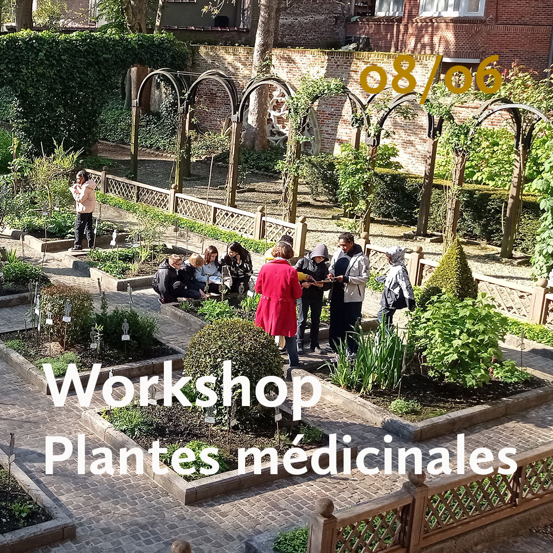 atelier plantes médicinales©Musees_Maison_Erasme_Beguinage